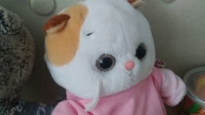 Едем с Басиками в село🌄