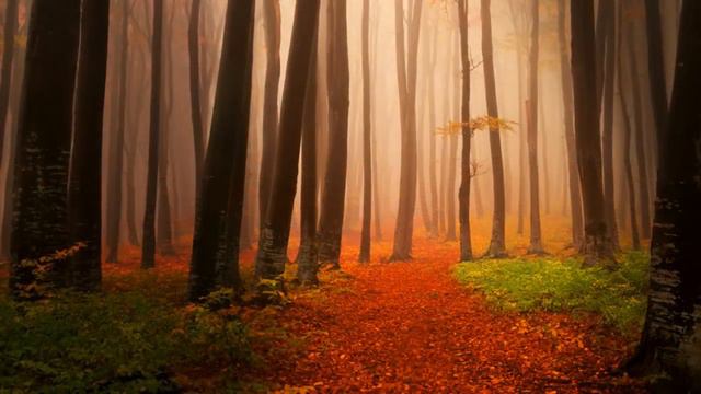 Cool & Calm, Soft & Slow Relaxing Music – Wonderful Piano Music – Best Instrumental Love S смотреть онлайн
