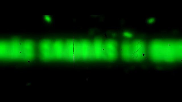 APOLO RAP | Record of ragnarok / Shuumatsu no valkyrie | 2023 | AdloMusic смотреть онлайн