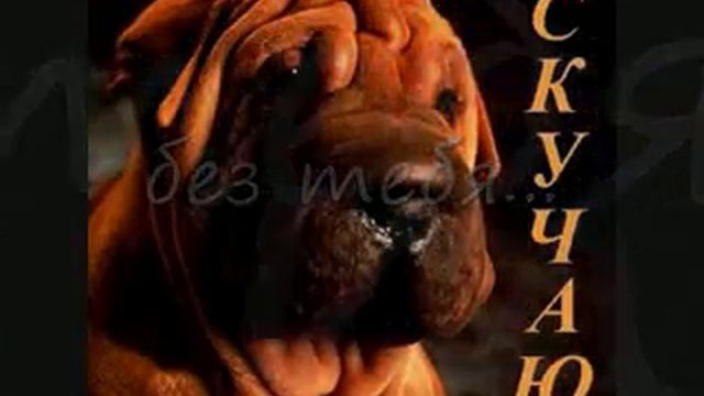 Любимому мужу.flv смотреть онлайн