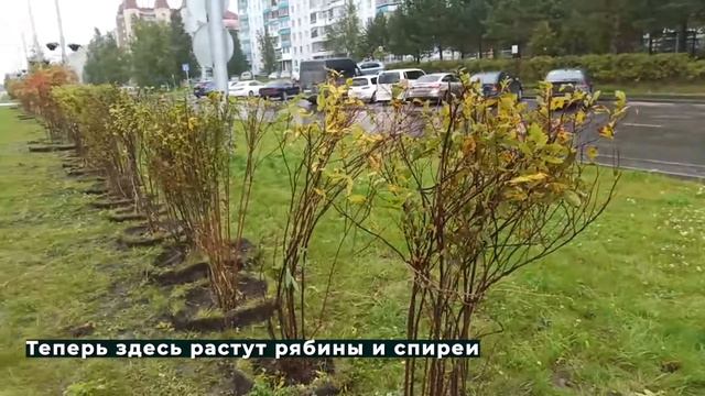 Особенности озеленения в осенний период 04.09.2020 смотреть онлайн