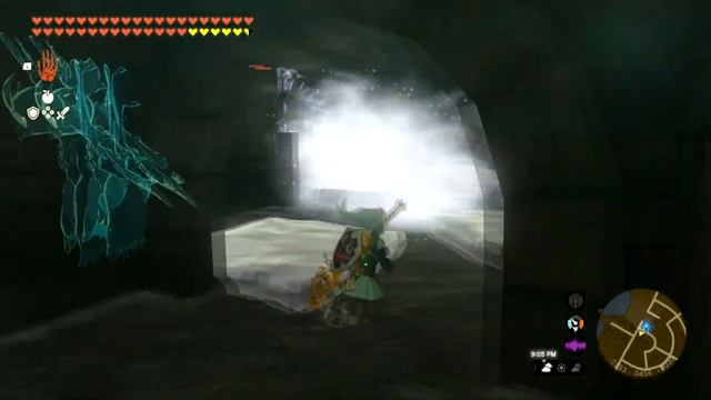 Royal Hidden Passage Guide (Bubbul Frog Location) in Zelda Tears of the Kingdom смотреть онлайн