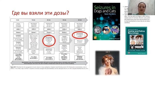 Приступы животных с улицы. Судороги у собак смотреть онлайн