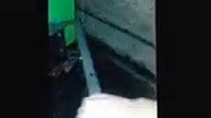 отзыв  о котле LAVORO eco 32 кв