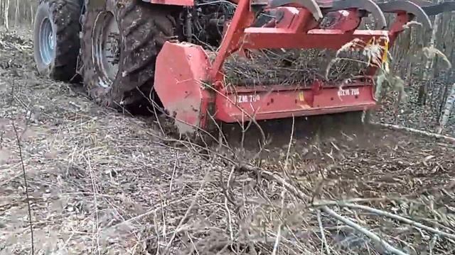 Мульчер AHWI. Расчистка заросшего поля. Рекультивация 2
