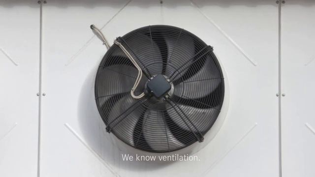 Franke Futurum in English смотреть онлайн