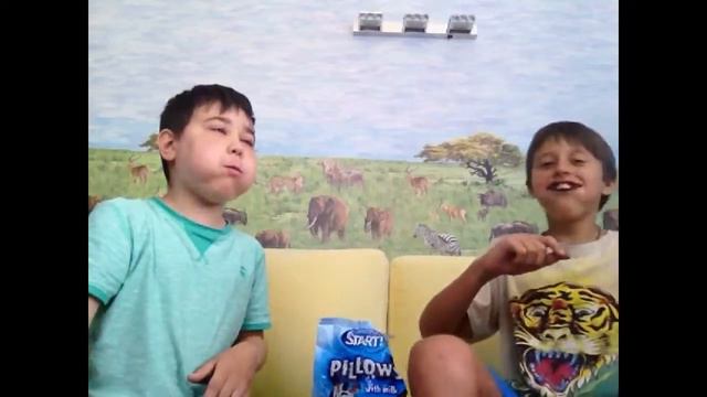 Смешные хомяки смотреть онлайн