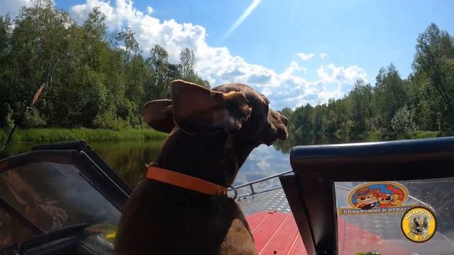 Побег на природу. 5-ти дневные приключения на рыбалке. Часть 4. ТУТ ТАКАЯ КРАСОТА. река Пустая смотреть онлайн