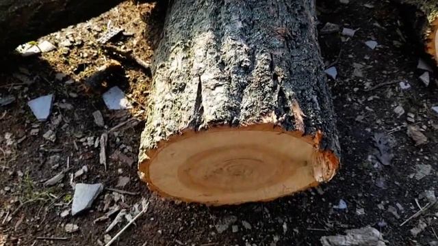 ОТКАЗАЛСЯ ИДТИ ЗА КАРТОШКОЙ В ГАРАЖ. ПРИКАЗАЛ ЖЕНЕ КУПИТЬ В МАГАЗИНЕ.ПРИВЁЗ ДРОВ смотреть онлайн