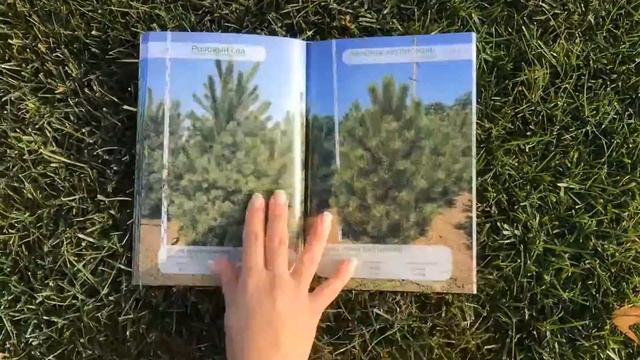 буклет растения смотреть онлайн