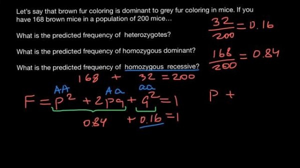 How to solve population genetics problems
