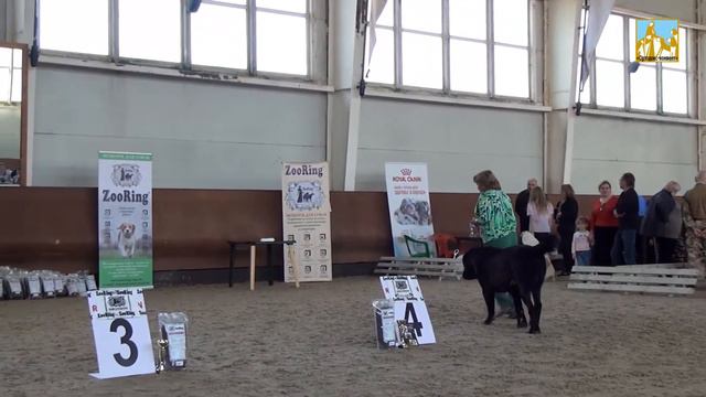 Азиат 2017. Класс Чемпионов НКП. Ортодокс Конвент Сарташ смотреть онлайн