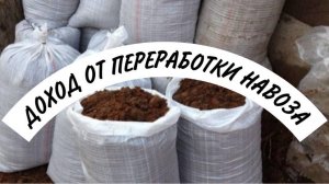 Доход от переработки навоза