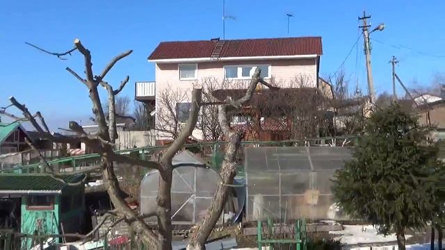 Обрезка в марте яблони и ели обынновенной смотреть онлайн