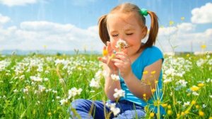 Если я сорву цветок, если ты сорвёшь цветок. Т.Собакин #учитьстихилегко