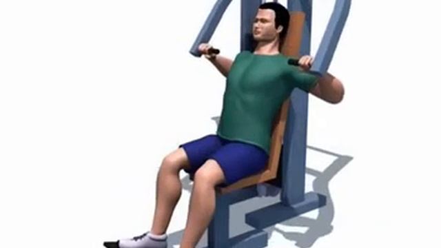 Техника выполнения жима смотреть онлайн