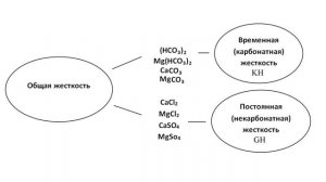 Всё, что нужно знать об основных параметрах воды в аквариуме. pH, Kh, Gh, NH3, NH4, No2, No3, Po4