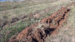 ЯПОНСКИЙ МИНИТРАКТОР ПАШЕТ ЦЕЛИНУ ПЛУГОМ ПН-2-40