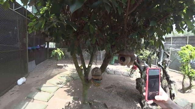 Самуи 2020 ч.6 ( Paradise Park Farm/Парадайз парк) смотреть онлайн