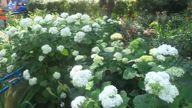 2017.06.21 Из Киева с любовью во Христе Иисусе! Архиепископ Сергей Журавлев (2 часть) смотреть онлайн