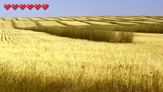 Show of the Weekend: Ellen vs Luke's Kingdom Come Deliverance Survival Simulation смотреть онлайн