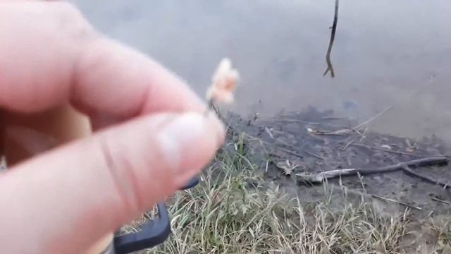 Дневник рыбака #5 / Илекский р-он / озеро "Голодное"/"Озерки"/"Черновское (Димитрово) водохранилище смотреть онлайн