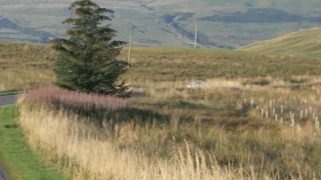 Is The First Lotus Elise The Best? 1999 S1 135 Sport Review смотреть онлайн