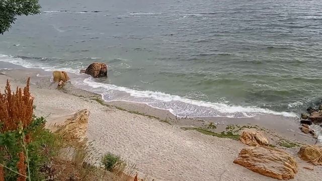 ОДЕССА. ОГРОМНЫЕ ШТРАФЫ? НЕ БУДЕТ В ДОСТУПЕ?! СДАТЬ ДНК! СТРОГИЙ РЕЖИМ! смотреть онлайн