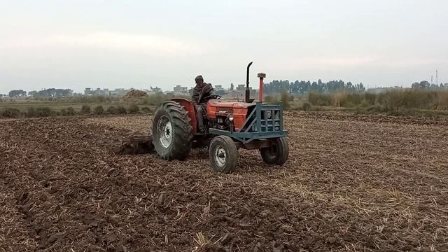Fiat 640 Tractor Italy made land preparation for wheat crop смотреть онлайн