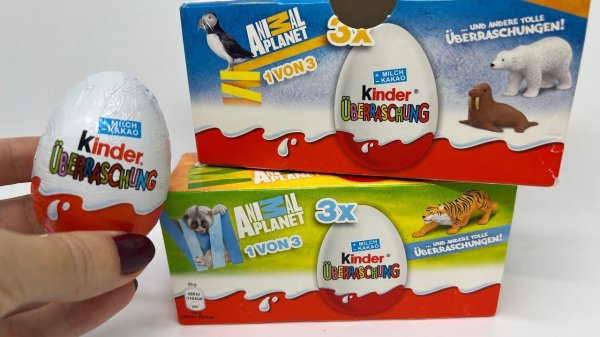 Animal Planet 2015 года. Раритетные киндеры