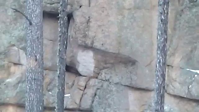 Обратная сторона Дэда смотреть онлайн