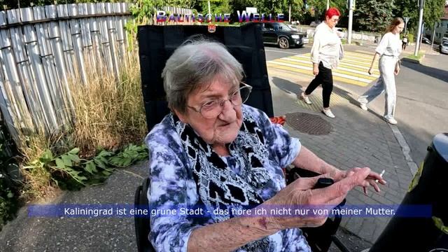 Frieda in Kaliningrad - Bekanntschaft mit einer grünen Stadt смотреть онлайн