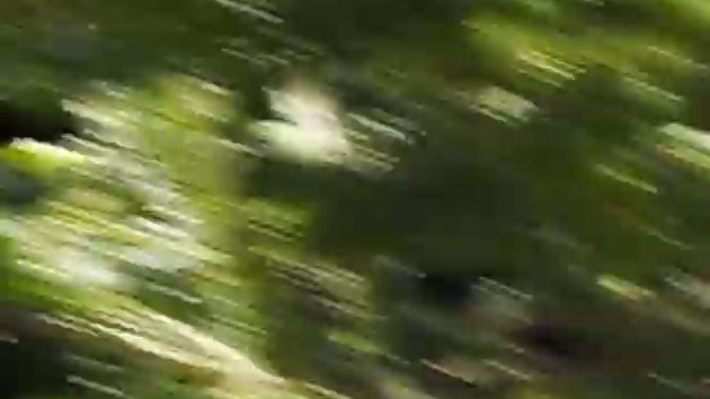 Подсадная на гнезде. 18.05.19. смотреть онлайн