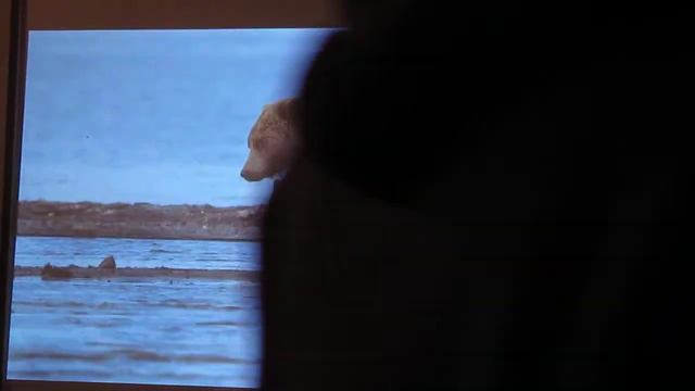 Открытие фотовыставки "Страна далекая и близкая" часть-3 смотреть онлайн