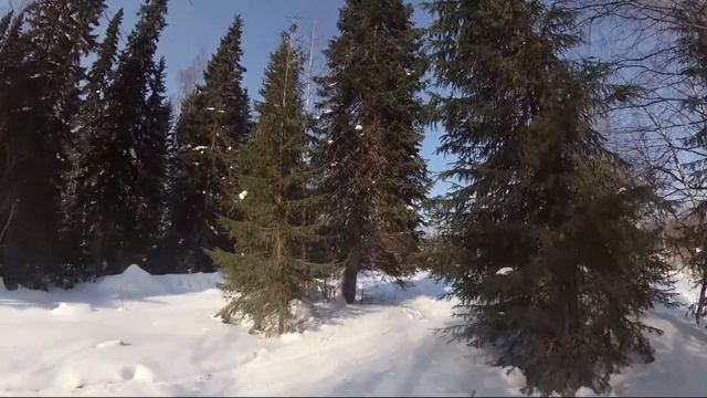 Рыбалка в Республике Коми смотреть онлайн