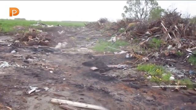 Россельхознадзор выявил превышение предельно допустимых концентраций токсических веществ в почве смотреть онлайн