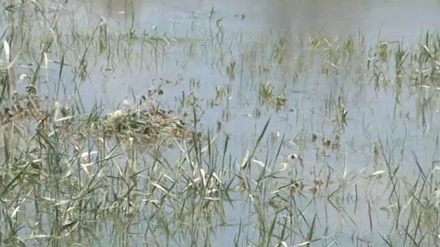 31 05 17 СОЛДАТКА УКРЕПЛЕНИЕ ГРУНТА