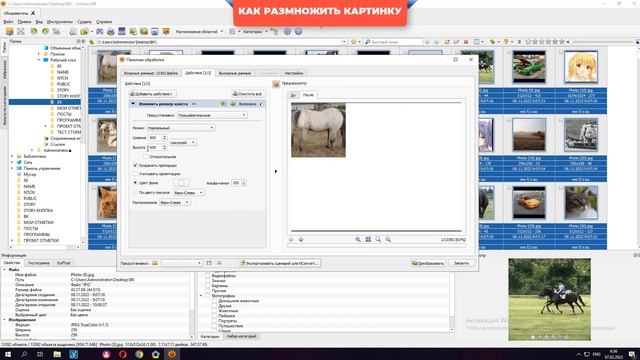 Как размножить картинку смотреть онлайн