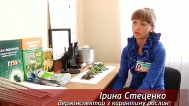 Амброзия: пища богов и проблема для горожан смотреть онлайн