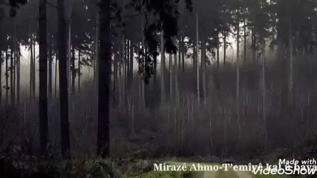 Езиды.. слова которые мы должны помнить всегда!