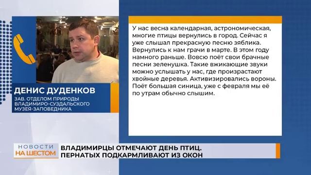 Владимирцы отмечают День птиц. Пернатых подкармливают из окон смотреть онлайн