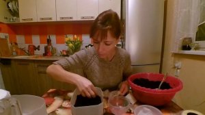 Сеем савойскую капусту. Посадка капусты.