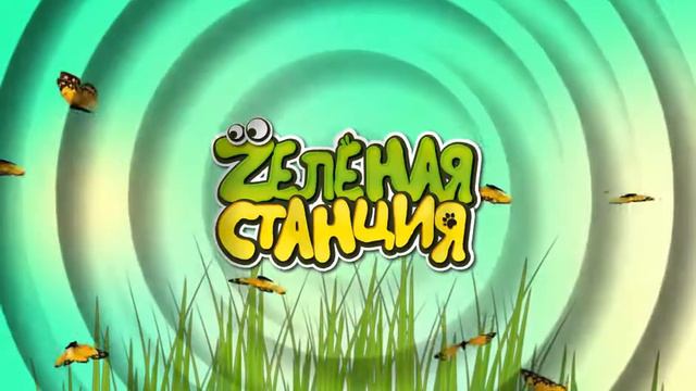 "Zелёная станция" смотреть онлайн