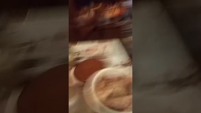 там где звери живут