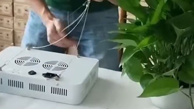 Лампа для растений мощная купить в Новосибирске смотреть онлайн