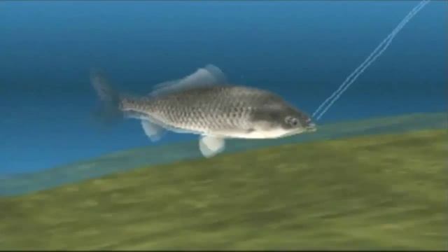 Team Hobnob Let's Play - Reel Fishing II - Episode 2: Carp Fishing смотреть онлайн