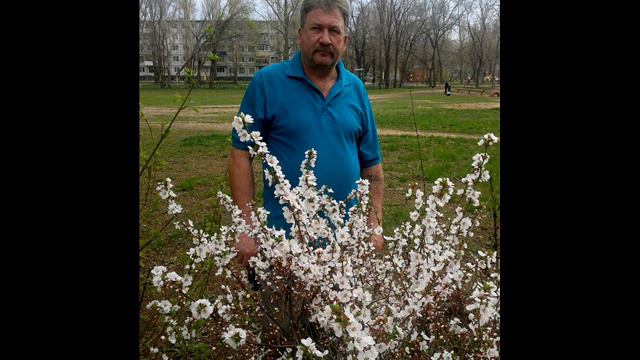 День Пограничника 2013год смотреть онлайн