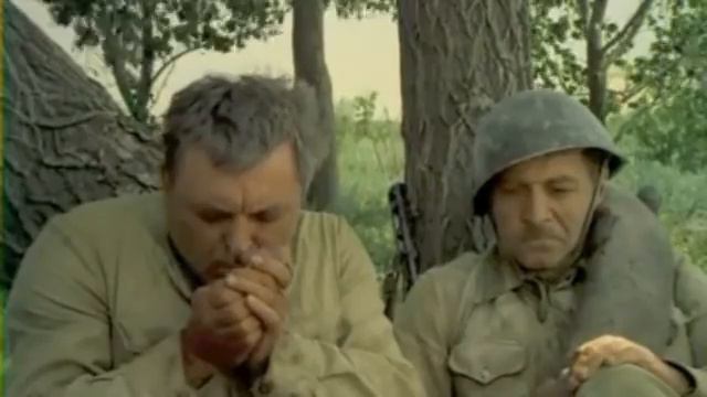 Женщина ушлое животное смотреть онлайн