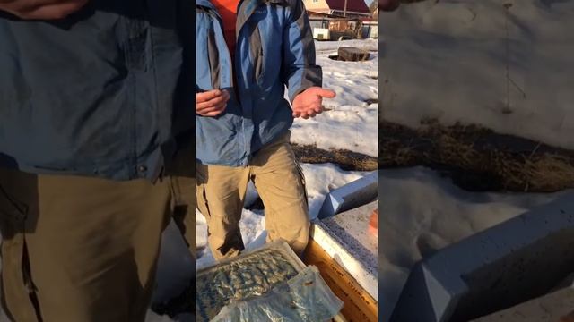 Показывал пчел доче и 2 укуса в один палец ))