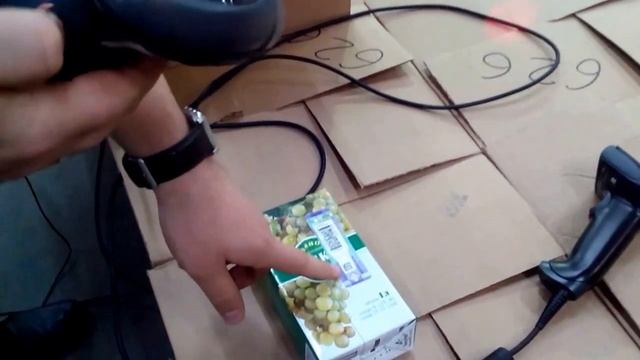 ЕГАИС. Тестирование сканеров Honeywell 1450gHR, Metrologic 1690 и Motorola 4208.